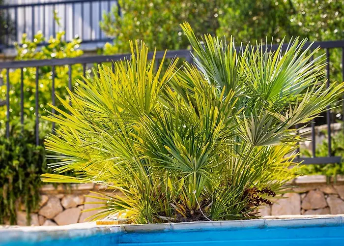 Camp Panorama With Pool 캠프장 3*