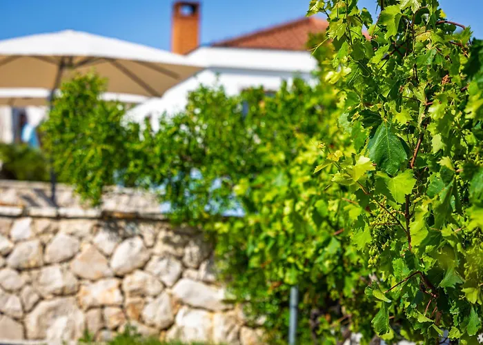 Camp Panorama With Pool 3*