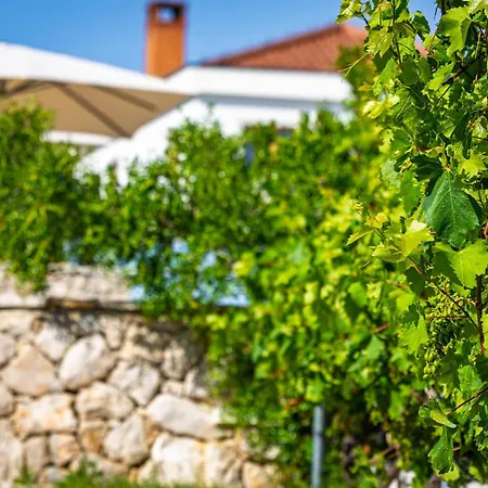 Camp Panorama With Pool 3*