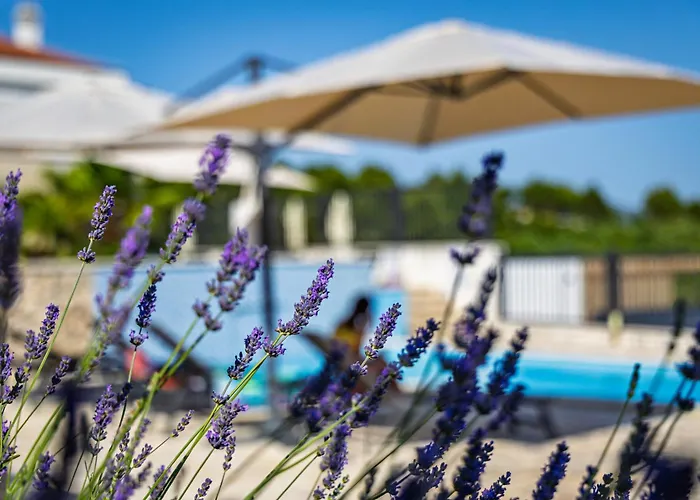 Camp Panorama With Pool 营地 德拉格